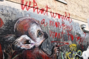 13. Melbourne Street Art - Fitzroy North Sept 2014 Photo graphed by Karen Robinson.JPG