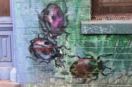 8. Melbourne Street Art - Fitzroy North Sept 2014 Photo graphed by Karen Robinson.JPG