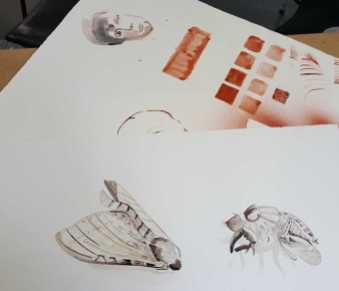 17-20 Class 8 'Produce Drawings' CAE Class - Certificate 111 in Visual Arts - Photograph by Karen Robinson Sept 2016 NB images protected by copyright laws
