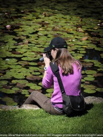 Royal Botanical Gardens Melbourne, Victoria - Australia. Karen Robinson's daughter taking photos of Dragon Flies on top of Water Lillies during a mother/daughter day. 2016 NB: All images are protected by copyright laws