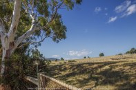 Whittlesea, Victoria - Australia 'Farmlands & Mount Disappointment State Forest Region' Photographed by © Karen Robinson www.idoartkarenrobinson.com March 2017