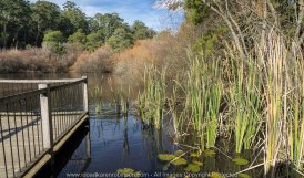 Daylesford Region, Victoria - Australia "Jubilee Lake"_ Photographed by ©Karen Robinson www.idoartkarenrobinson.com June 2017. Comments: Husband and I visiting the region to take photographs on this beautiful, fresh winter's day.