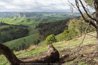 Strath Creek Region, Victoria - Australia_'Valley of a Thousand Hills'_Photographed by ©Karen Robinson_www.idoartkarenrobinson.com May 2017 Comments: Day photographing with my daughter and husand who kindly drove us location to location.