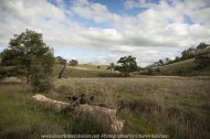 Wallan Region, Victoria – Australia "Rural Landscape"_Photographed by ©Karen Robinson www.idoartkarenrobinson.com July 2017. Comments: Day out with daughter photographing landscape and wildlife on a beautiful winter's day.