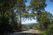 Seaview Region, Melbourne - Australia "Grand Ridge Road Region" Photographed by Karen Robinson NB Copyright Protected_ www.idoartkarenrobinson.com October 17, 2017. NB: Day trip with hubby to visit this beautiful region at its best when all is green before the summer turns it brown.