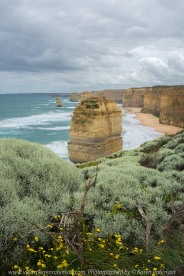 The Great Ocean Road Region, Victoria - Australia_Photographed by Karen Robinson November 2017 www.idoartkarenrobinson.com Comments: My Hubby and I joined a group of enthusiastic Craigieburn Camera Club Photographers on a Three-Day Trip along the Great Ocean Road and Regional areas - to take photographs of wide oceans, sunrises, sunsets, significant coastal landmarks, waterfalls, wildlife and rural bushlands. Featuring views at the Twelve Apostles.