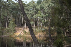 Blackwood, Victoria - Australia 'Shaws Lake - Lerderderg'_Photographed by Karen Robinson_www.idoartkarenrobinson.com_Feb 2017