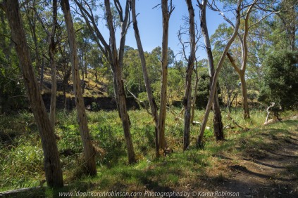 Gooram, Victoria - Australia 'Seven Creeks Wildlife Reserve' Photographed by Karen Robinson Dec 2017 www.idoartkarenrobinson.com NB. All images are protected by copyright laws. Comments: We stopped for lunch amongst the tranquil surroundings of the Seven Creeks and view the Gooram Falls.