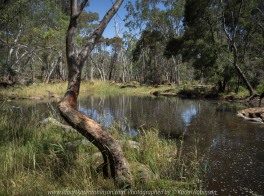 Gooram, Victoria - Australia 'Seven Creeks Wildlife Reserve' Photographed by Karen Robinson Dec 2017 www.idoartkarenrobinson.com NB. All images are protected by copyright laws. Comments: We stopped for lunch amongst the tranquil surroundings of the Seven Creeks and view the Gooram Falls.