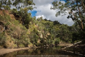Lerderderg, Victoria - Australia 'Mackenzies Flat Picnic Area - Lerderderg State Forest'_Photographed by ©Karen Robinson_www.idoartkarenrobinson.com - Feb 2017