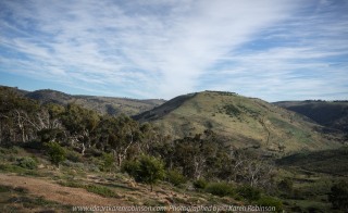 Werribee, Victoria – Australia 'Werribee State Gorge State Park'_Photographed by ©Karen Robinson www.idoartkarenrobinson.com June/July 2017. Comments: Werribee Gorge offers spectacular views, rugged natural beauty with bushwalking and rock climbing for those fit enough - my hubby and I did the walking!