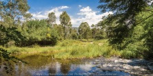 Cheshunt, Victoria - Australia 'King River near Hamiltons Bridge' Photographed by Karen Robinson Jan 2018 NB. All images are protected by copyright laws. Comments: A beautiful summer's day around this region taking in the sights of the King River and surrounds Vineyards.