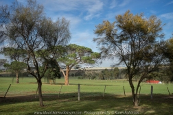 Greenvale, Victoria - Australia 'Woodlands Historic Park' Photographed by Karen Robinson June 2018 NB. All images are protected by copyright laws. Comments - A beautiful day at this historic park which is located just a short distance from home. With other members of the Craigieburn Camera Club, we engaged in a 'free format photograph shot' where we wandered around this nature preserve taking photographs that were of interest to the individual photographer.
