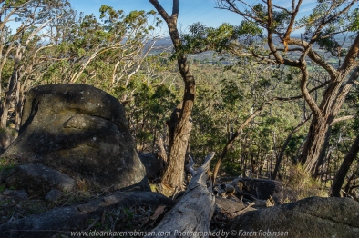 Faraday, Victoria - Australia 'Mount Alexander Regional Park - Dog Rocks' Photographed by Karen Robinson NB. All images are copyright protected. Comments - Dog Rocks located just off Joseph Young Drive features huge conglomeration of ginormous picturesque granite rock outcrops. Native gum trees grow in a mangled fashion around these huge boulders; this with the late morning sunshine dappling its way through the bush helps make for interesting photographic opportunities. We spent some time at this location photographing and just enjoy the beautiful of the region. View through the bush could be seen looking out towards Harcourt. The reason for this area to be called Dog Rocks was because back in the nineteenth century, many dingos were seen around the rocks and manager Lockhart Morton of Sutton Grange Station in 1846 named the area Dog Rocks.