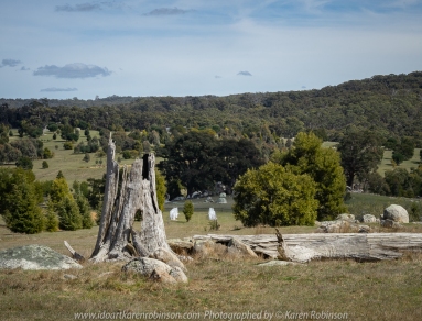 Nulla Vale, Victoria - Australia 'Large Boulder Region' Photographed by Karen Robinson September 2018 NB. All images are protected by copyright laws. Comments - A lovely spring day drive in the countryside with hubby.