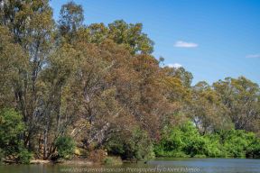 Seymour, Victoria - Australia 'Mark's 66th Birthday - Goulburn River near Caravan Park' Photographed by Karen Robinson November 2018 Comments - Day out with daughter Kelly, son-in-law Matt, grand daughter Maddie, hubby Mark and Karen fishing for Mark's Birthday.