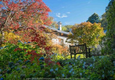 Mount Macedon, Victoria - Australia 'Duneira Heritage Garden' Photographed by Karen Robinson April 2019 Comments - A beautiful Autumn day with hubby at these magnificent gardens where tall trees are the dominating feature. Photograph featuring Main House and surrounding garden.