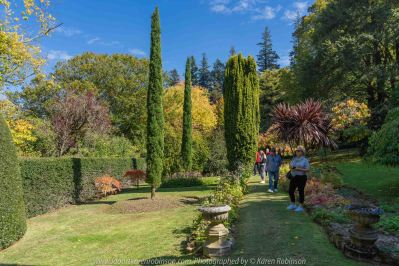Mount Macedon, Victoria - Australia 'Duneira Heritage Garden' Photographed by Karen Robinson April 2019 Comments - A beautiful Autumn day with hubby at these magnificent gardens where tall trees are the dominating feature. Photograph featuring Secret Garden area.