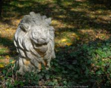 Mount Macedon, Victoria - Australia 'Duneira Heritage Garden' Photographed by Karen Robinson April 2019 Comments - A beautiful Autumn day with hubby at these magnificent gardens where tall trees are the dominating feature. Photograph featuring Lion Statue.
