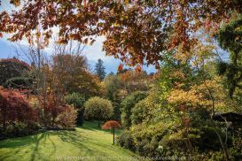 Victoria - Australia 'Forest Glade Gardens' Photographed by Karen Robinson May 2019 Comments - Autumn visit to one of Australia's most beautiful private gardens.