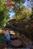 Mount Macedon, Victoria - Australia 'Forest Glade Gardens' Photographed by Karen Robinson May 2019 Comments - Autumn visit to one of Australia's most beautiful private gardens.