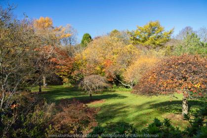 Victoria - Australia 'Forest Glade Gardens' Photographed by Karen Robinson May 2019 Comments - Autumn visit to one of Australia's most beautiful private gardens.