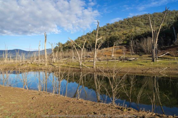 Piries, Victoria - Australia 'Howqua Inlet - Lake Eildon Region' Photographed by Karen Robinson July 2019 Comments - Early morning at Howqua Inlet during the winter as the sun rose over the mountain and down through the inlet itself.