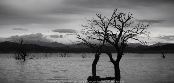 Bonnie Doon, Victoria - Australia 'Lake Eildon Region' Photographed by Karen Robinson July 2019 Comments: Lakeside views across Lake Eildon towards Mount Buller.