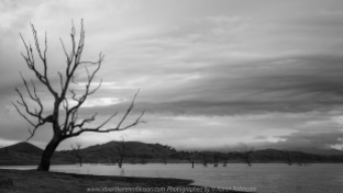 Bonnie Doon, Victoria - Australia 'Lake Eildon Region' Photographed by Karen Robinson July 2019 Comments: Lakeside views across Lake Eildon towards Mount Bulla.