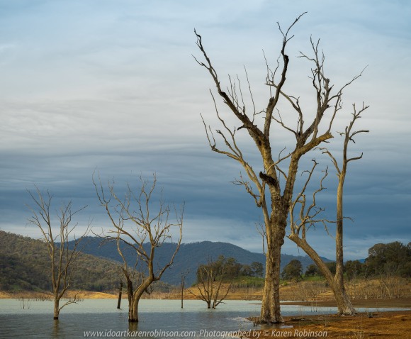 Bonnie Doon, Victoria - Australia 'Lake Eildon Region' Photographed by Karen Robinson July 2019 Comments: Lakeside views across Lake Eildon towards Mount Bulla.