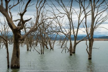 Bonnie Doon, Victoria - Australia 'Lake Eildon Region' Photographed by Karen Robinson July 2019 Comments: Lakeside views across Lake Eildon
