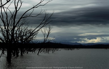 Bonnie Doon, Victoria - Australia 'Lake Eildon Region' Photographed by Karen Robinson July 2019 Comments: Lakeside views across Lake Eildon