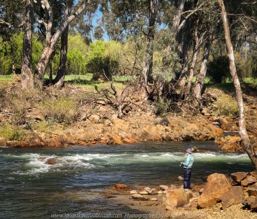 Myrtleford, Victoria - Australia 'Ovens River' Photographed by Karen Robinson September 2019 Comments - A stop at the beautiful Ovens River on our way up to Bright revealed a beautiful location for a welcome break from driving.
