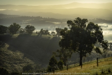 Yarra Glen, Victoria - Australia 'Wise Road Views' Photographed by Karen Robinson Jun 2020 Comments - A misty early morning looking out over the plains and towards the mountains from Wise Road.