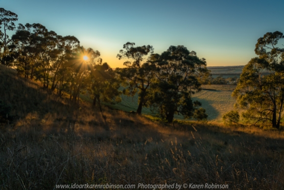 Mount Franklin, Victoria - Australia 'Early Morning on Mount Franklin Road and Midland Hwy' Photographed by Karen Robinson June 2020 Comments - Early morning start capturing the sunrise and beautiful early morning light streaming across the plains.