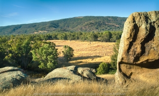 Trawool, Victoria - Australia 'Greenslopes Road' Photographed by Karen Robinson Jan 2021 Comments: A lovely drive along Greenslopes Road reveals summer grasslands, granite boulders, hills and mountain ranges, waterholes with actual water still in them and glimpses of the Goulburn River.