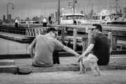 Williamstown, Victoria - Australia 'Williamstown Newport Foreshore' Photographed by Karen Robinson February 2021 Comments: Hunt and Shoot day with Craigieburn Camera Club looking for interesting subjects to photograph. Photograph featuring two men with their dog.