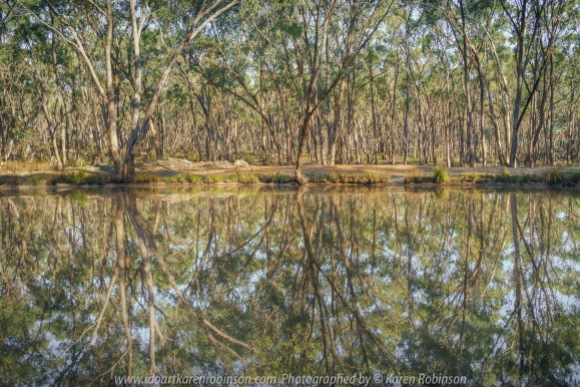 Kimbolton, Victoria - Australia 'Crazy Evely Track Water Hole' Photographed by Karen Robinson February 2021 Comments: Small Waterhole located within beautiful Australian native bush with the magical reflection of its surrounding.