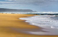 Fingal, Victoria - Australia 'Gunnamatta Ocean Beach' Photographed by ©Karen Robinson February 2022 Comments: Photograph featuring views around Gunnamatta Back Beach.