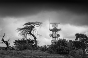 Greenvale, Victoria - Australia 'Woodlands Historic Park Spring' Photographed by ©Karen Robinson September 2021. Comment: Photograph featuring tower at the top of Gellibrand Hill. Image is black and white.
