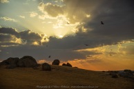 High Camp, Victoria - Australia 'Sunset on Lancefield-Pyanlong Road - Granite Boulder View' Photographed by Karen Robinson December 2019 Comments: Early summer evening taking photographs of the Sunset over huge granite boulders.
