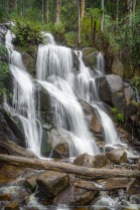 Toorongo, Victoria - Australia 'Toorong Falls Reserve' Photographed by Karen Robinson August 2019 Comments - Cold early morning winter's day to see the Toorongo and Amphitheatre waterfalls at their best due to heavy rains and snow falls days before and overnight. Photograph featuring Toorongo Falls.