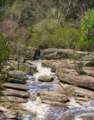 Beechworth, Victoria - Australia 'Woolshed Falls Views' Photographed by ©Karen Robinson November 2022 Comment: Photograph featuring the falls after massive rainfalls across the State of Victoria.