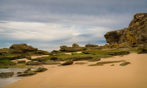 Fingal, Victoria - Australia 'Gunnamatta Back Beach near Truemans Road' Photographed by ©Karen Robinson July 2022