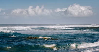 Fingal, Victoria - Australia 'Gunnamatta Ocean Beach' Photographed by ©Karen Robinson February 2022 Comments: Photograph featuring views around Gunnamatta Back Beach.