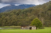 Tawonga South, Victoria - Australia 'Views towards Mount Bogong ' Photographed by ©Karen Robinson November 2022 Comment: Photograph featuring snow capped Mount Bogong in the distance and old shed beside pondage.